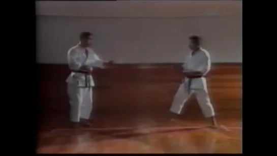 Masahiko Tanaka - Shotokan Karate Kumite instructional