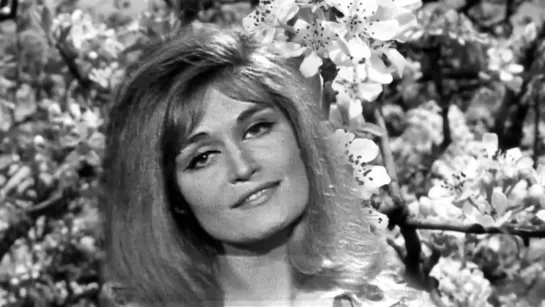 Dalida ٭ Le Printemps Sur La Colline ٭ Montage 2020 ٭ by Patrick Lamorozo.