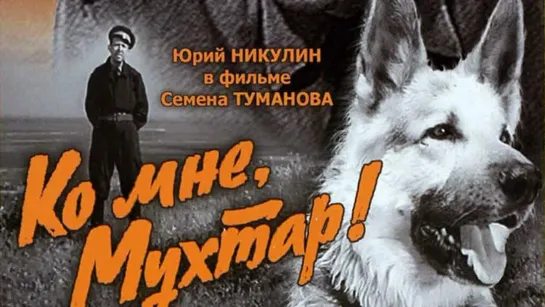 Ко мне, Мухтар! (4К, драма, реж. Семён Туманов, 1964 г.)