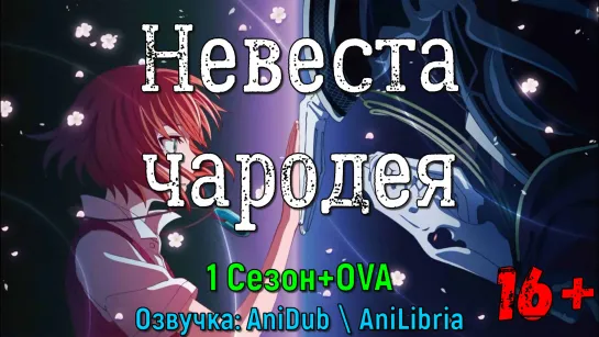 Невеста чародея(16+)