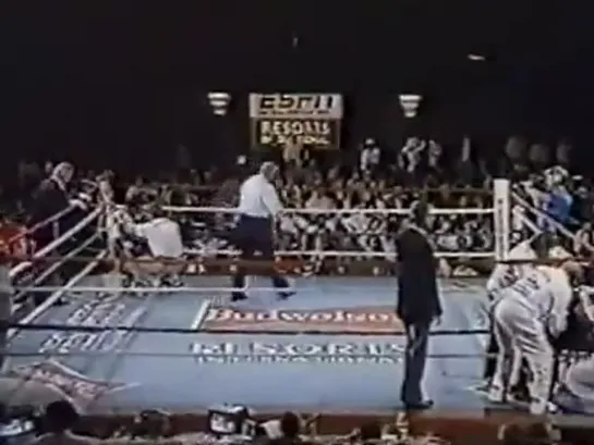 1988-04-15 Orlando Canizales vs Louis Curtis (USBA Junior Bantamweight Title)