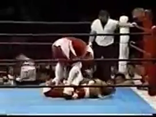 Jushin Thunder Liger vs. Owen Hart