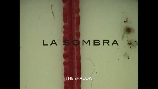 The Shadow / La sombra (2015) dir. Javier Olivera