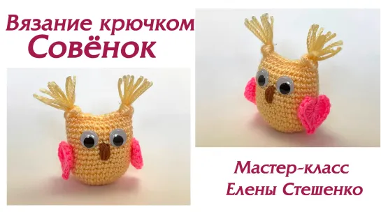 Мастер-класс. Вязание. Игрушка Совёнок крючком. Master Class.Crochet.