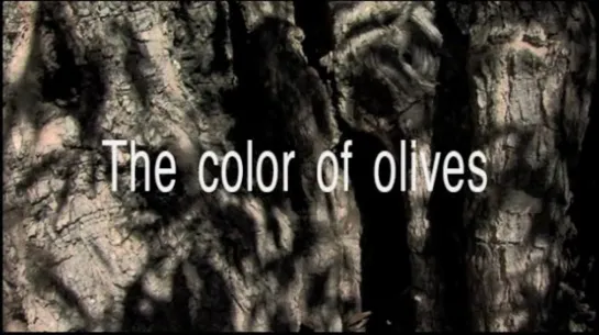 El color de los olivos / The Color of Olives (2006) dir. Carolina Rivas