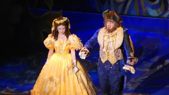 Musical Beauty and The Beast. US Tour, 03.12.2014 8/10