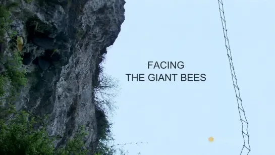 Facing the Giant Bees (2011) dir. Jérôme Segur