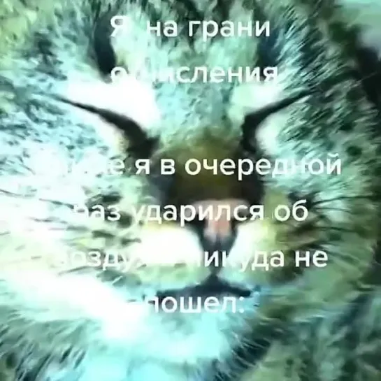 СЫС