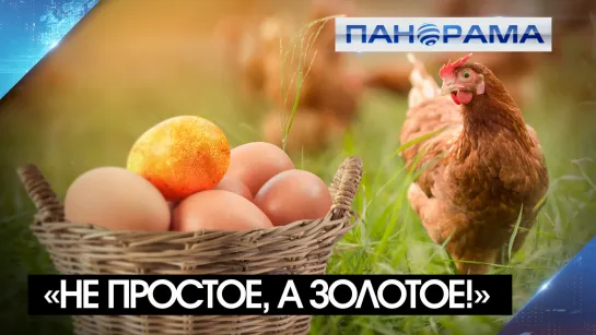 Высокие цены на продукты бьют по кошелькам покупателей!Когда в ДНР начнут регулировать стоимость социально-значимых товаров