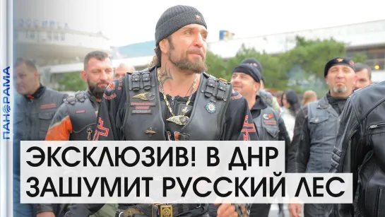 Александр "Хирург" Залдостанов: «Русскому лесу в ДНР быть!» 07.09.2021