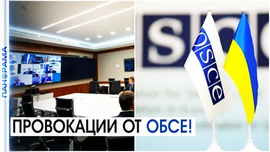 ОБСЕ теперь официально на стороне Украины? Такого не было семь лет! 22.07.2021