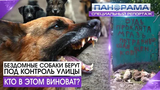 СПЕЦИАЛЬНЫЙ РЕПОРТАЖ. Люди vs собаки: кому суждено жить? 28.06.2021