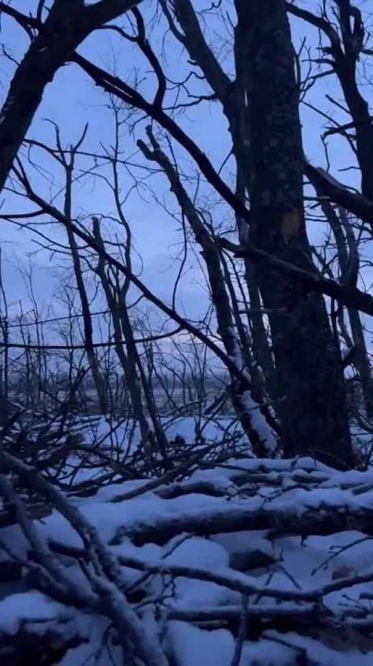 Видео от Шумерский Хуторок