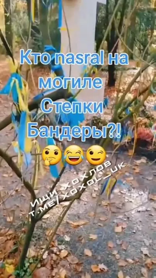 Видео от Шумерский Хуторок