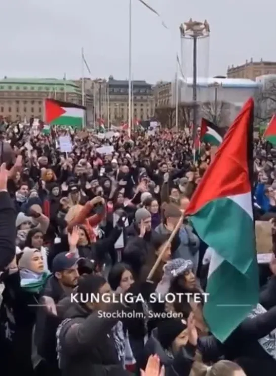 Видео от Шумерский Хуторок