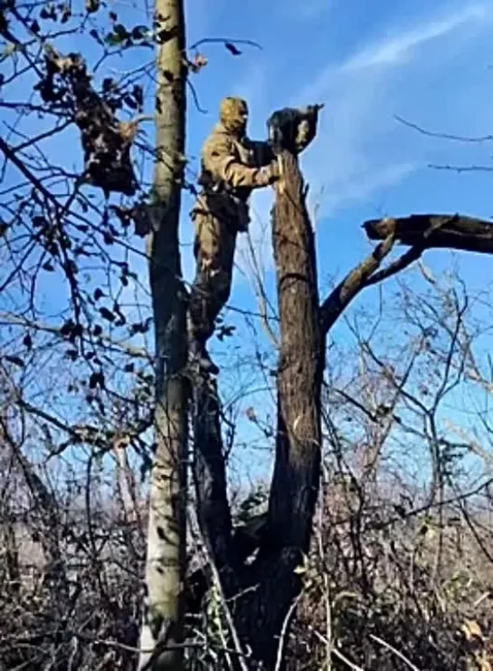 Видео от Шумерский Хуторок