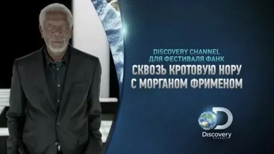 🧠🔍  Когда начинается жизнь ? Сквозь кротовую нору с Морганом Фрименом