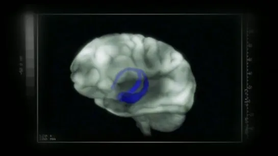 🧠🔍  BBC Тайны мозга - Развитие мышления (5 серия)