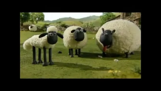 Shaun the Sheep. Still Life (2007)