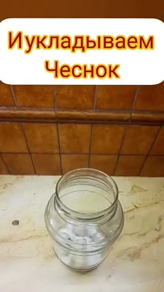 Чеснок