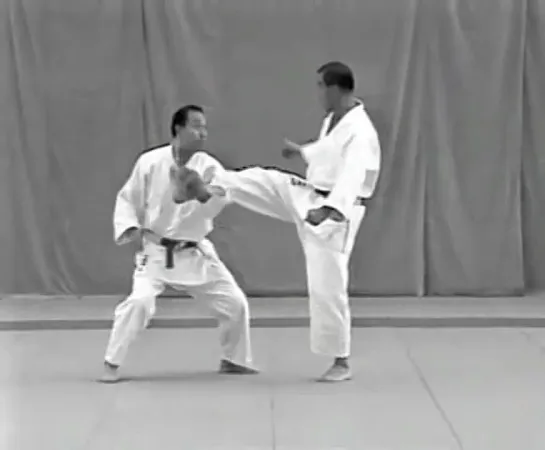 Kodokan Goshinjutsu