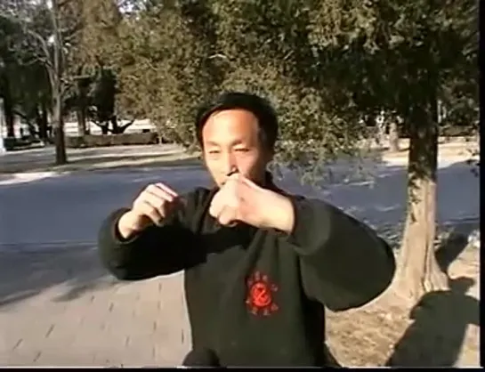 姚承荣意拳-中国现代实战拳术散手篇A8