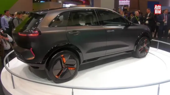 Kia Niro EV Concept (CES 2018) Details_Erklärung