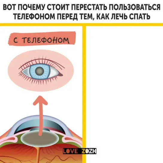 Перестаньте пользоваться телефоном перед сном