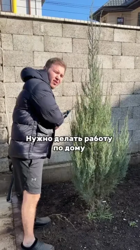 Тяготы жизни