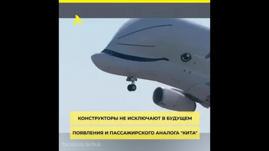 Кит в небе – BELUGA XL | АКУЛА