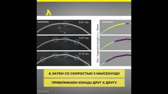 Как ломать спагетти пополам | АКУЛА