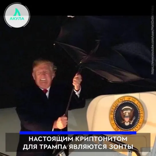 Трамп и зонты | АКУЛА