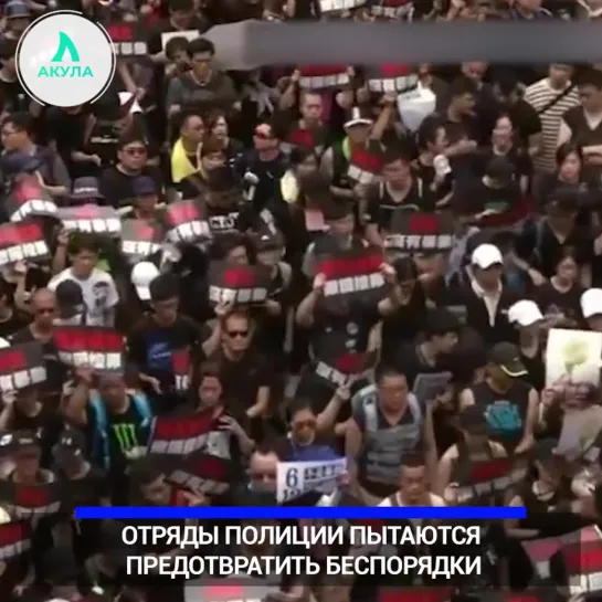 Митинги в Гонконге | АКУЛА