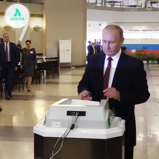 Путин голосует, а ты? | АКУЛА