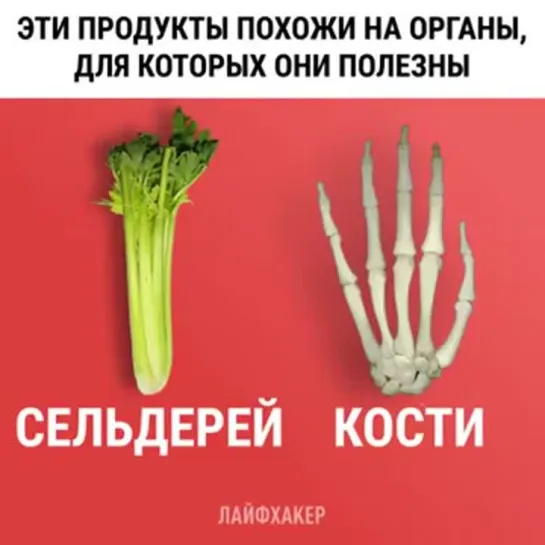 Женские Хитрости (vk.com/womantrlck) продукты для здоровья различных органов