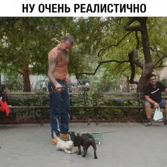 Женские Хитрости (vk.com/womantrlck)  даже собака не может понять! 👋🐶