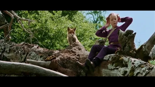 Девочка и лисенок / Le renard et l'enfant (2007)