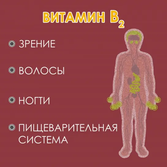 Женские Хитрости (vk.com/womantrlck) Где искать витамины