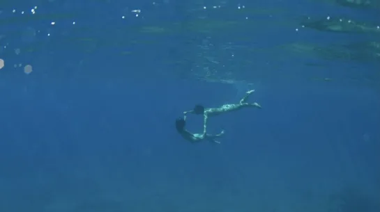 STILL THE WATER, 2014 (NAOMI KAWASE)