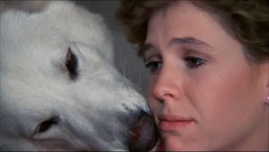 WHITE DOG, 1982 (SAMUEL FULLER)