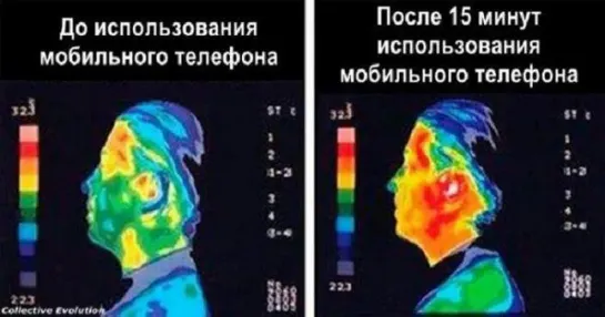 В Европе ЗАПРЕЩАЮТ Wi-Fi в школах и детсадах. И на то есть очень тревожная причи