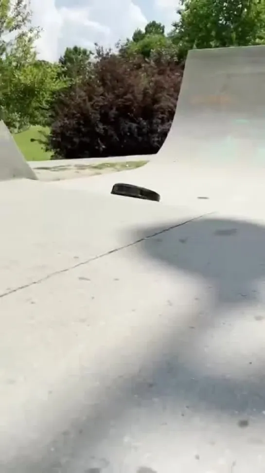 robot  Sk8er Boi