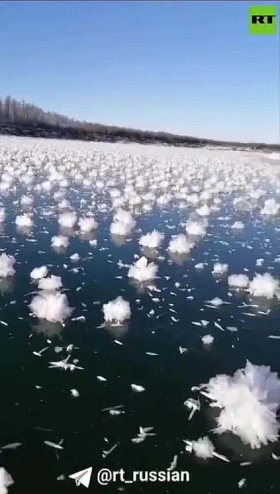 Видео от Ольги Никешиной