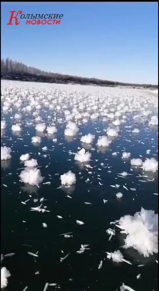 Видео от Ольги Никешиной