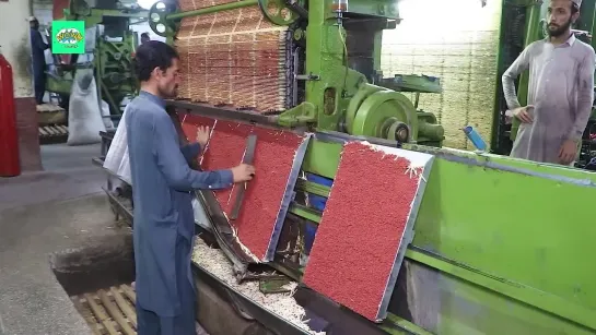 How Matchsticks are Made in the Factory