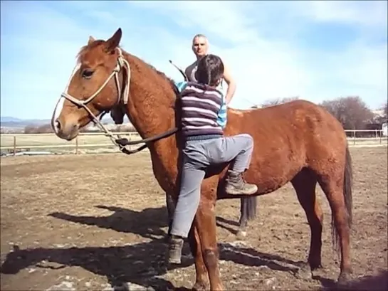 Школа по конна езда "Мадарски конник"/Horse riding school "Madara horseman"