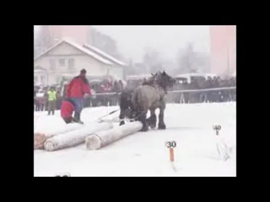 Соревнования тяжеловоз. Словакия 1 часть