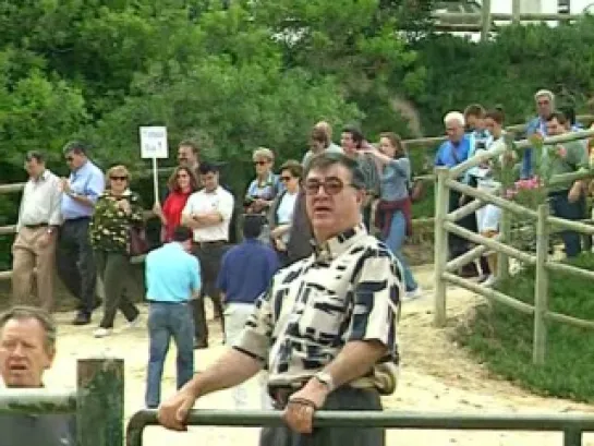 Серия 2: Херес: Испанский праздник лошади / Jerez: Spanies Feria del Caballo