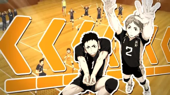 [H❤S] & --MDS-- Party Like An Animal [Haikyuu!!]