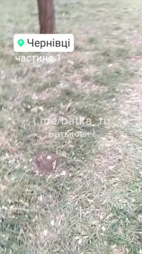 Видео от Витебск  PRO